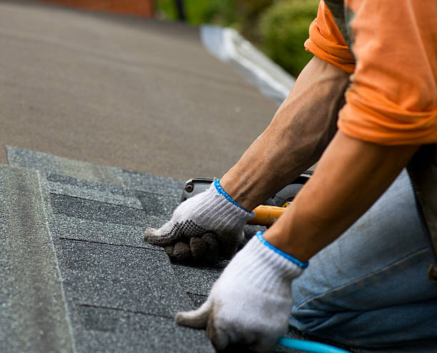 Best Roof Waterproofing Services  in Porcupine, SD